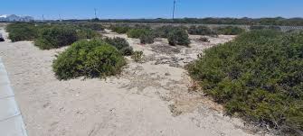 0 Bedroom Property for Sale in Atlantic Sands Private Estate Western Cape